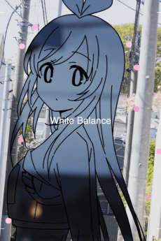 White Balance