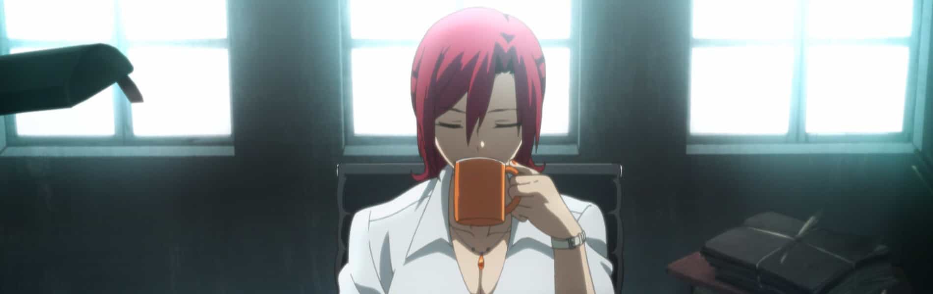 the Garden of sinners -recalled out summer-