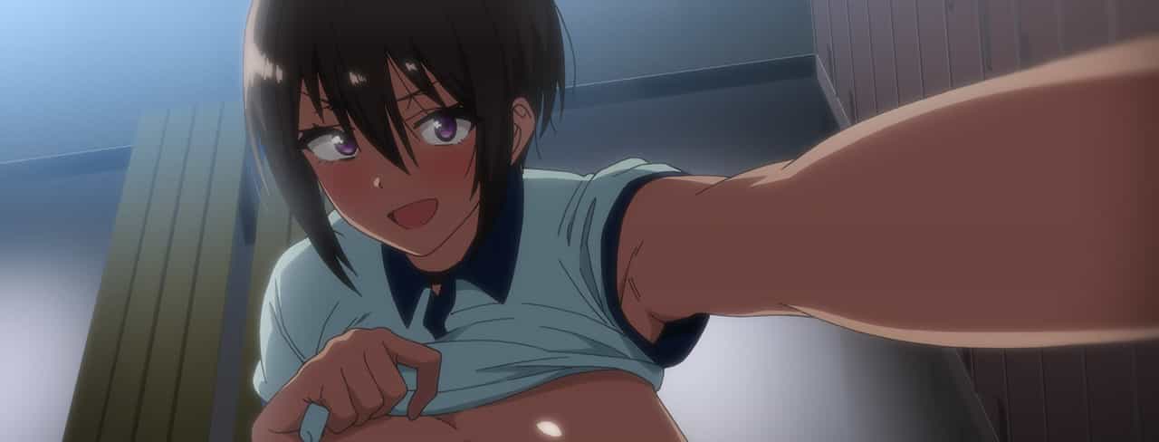 Fuuki Iin to Fuuzoku Katsudou