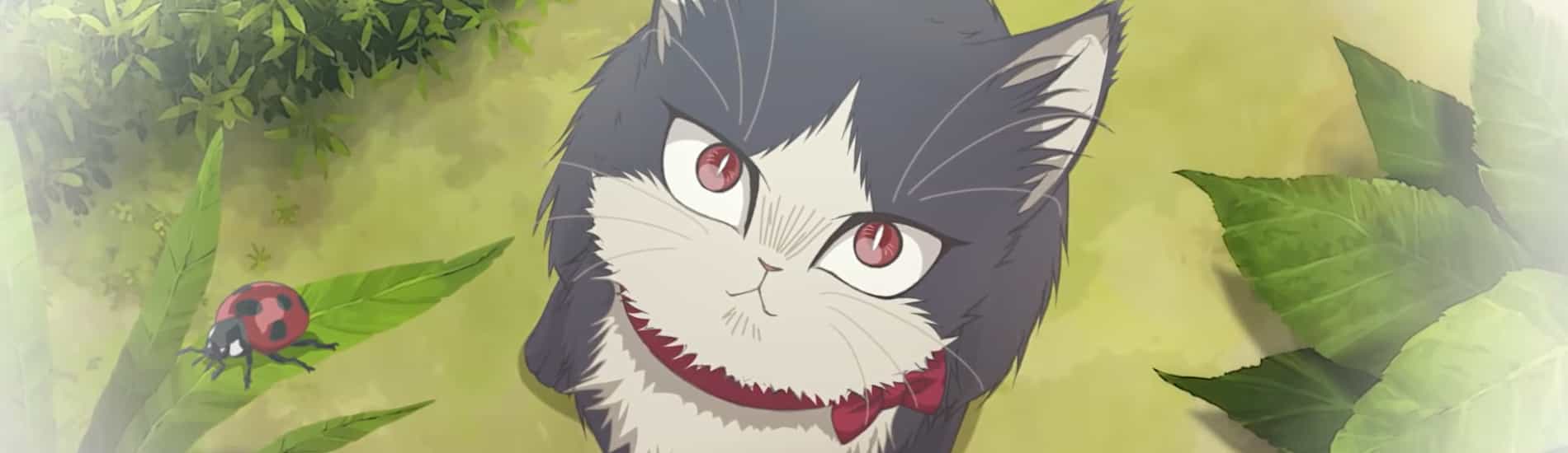 My Roommate is a Cat